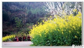 风景最新爆料图片,最新风景图片惊艳亮相